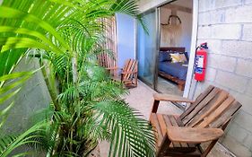 Katalox Jungle Lofts By Simply Comfort Tulum Centre Rooftop Patio & Pool