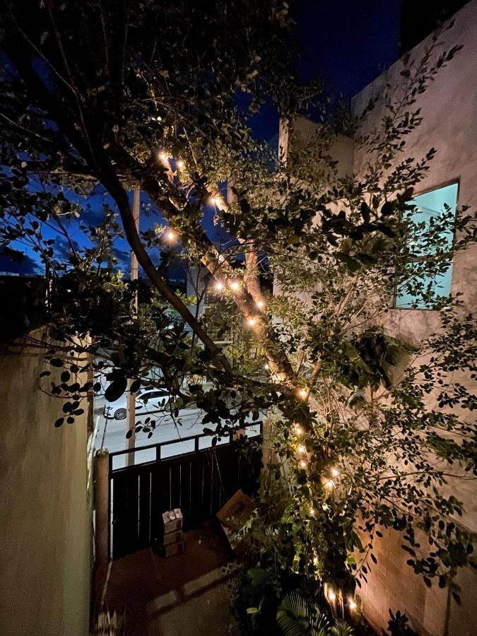 Katalox Jungle Lofts By Simply Comfort Tulum Centre Rooftop Patio & Pool Exterior photo